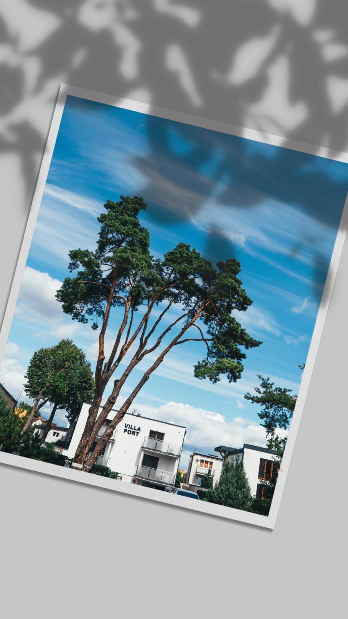 Villa Port Iława エクステリア 写真
